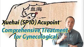 Xuehai (SP10) Acupoint: Comprehensive Treatment for Gynecological, Dermatological, and More