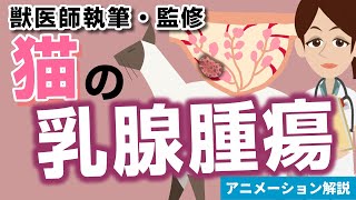 猫の乳腺腫瘍について【獣医師執筆監修】症状から治療方法まで