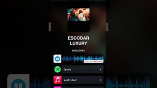 Dr. Dre x Snoop Dogg Type Beat | ESCOBAR LUXURY #DrDre #SnoopDogg #beats #music