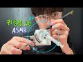 귀성형 재수술ASMR 마루 롤플레이