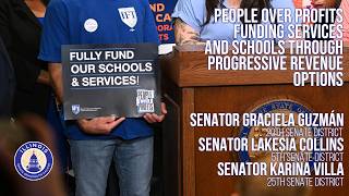 IL Senate Democrats call for revenue reform amid economic uncertainty