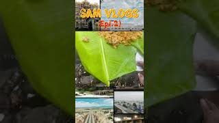 Watch Full vlog on My Youtube Channel | Sam Vishal #samvishal #samvlogs09 #samsvlogs #samvishalsong