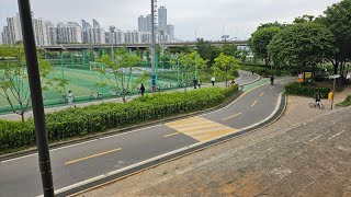 [240515] 세 자매 안양천 왔어요~  라이브