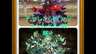 【パズドラ】第5回チャレンジダンジョンレベル8を覚醒セレスPTで攻略！