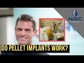 Do hormone pellet implants work?