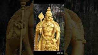 அப்பா முருகா 🙏 சரணம் #murugaa #murugan#temple #devotional #tuesday subscribe 🔔🙏 support me #viral