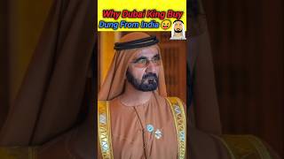 Why Dubai King Buy Dung From India ? 🔥#cowdung #dung #dubai #dubaiking #ytshorts #shorts #cow