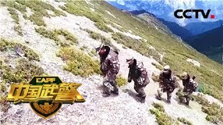 《中国武警》 20180318 中国武警基层纪事 巡逻虫草山 | CCTV军事