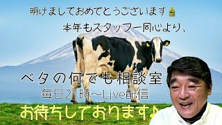 ヤフオク出品のベタ141番から撮影中！ベタの何でも相談室別館2021年2月12日