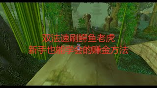 魔兽世界怀旧服双法速刷鳄鱼老虎，新手也能学会的赚金方法