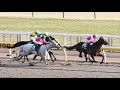 第33回 根岸ステークス g3 東京競馬場 1400m データ分析