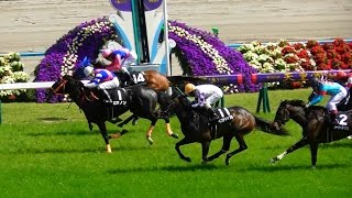 エマノン、糺の森特別勝利。現地映像、京都競馬場