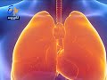 pleural effusion sukhibhava 22nd october 2018 etv andhra pradesh