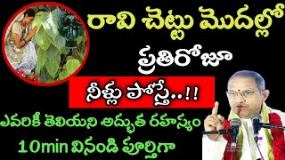 రావి చెట్టు మొదల్లో ప్రతిరోజూ నీళ్లు పోస్తే..!!  Chaganti Koteswara Rao Speeches Pravachanalu Latest