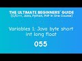 55. Java Variables 1: byte, short, int, long and float 