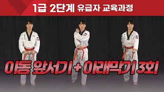 [1급 2단계] 이동 앞서기 + 아래막기 3회 Forward stance+Underneath blocking 3 times