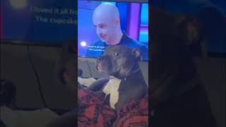 Dog Gives Owner a Side Eye During TV Time