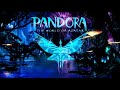 Pandora at Night | Bioluminescence | Sleep and Relaxation Ambience