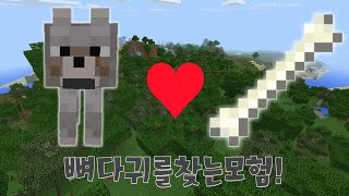 [황둥이] 뼈다귀를 찾는모험이다..혈압주의..MCPEㅣ제작자 해골박사찡ㅣMCPE