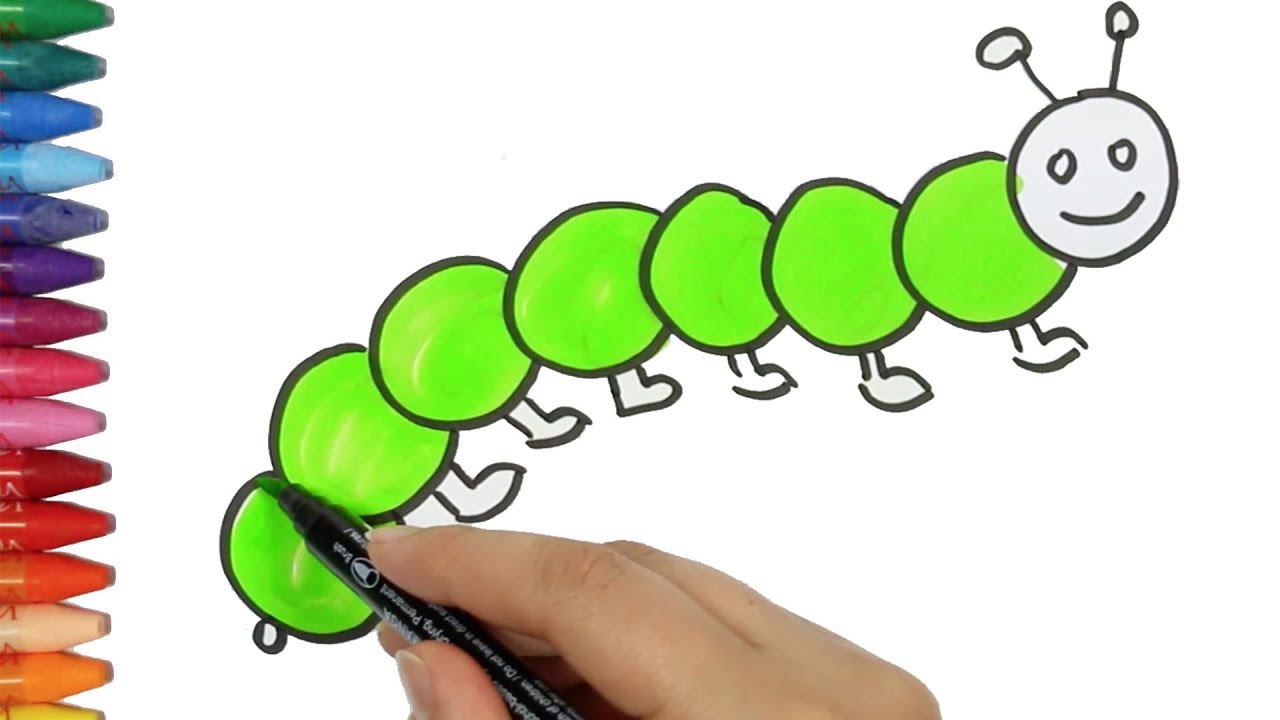 Caterpillar Drawing And Coloring For Children | How To Draw And Color ...