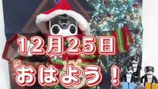 【朝のあいさつ】おはよう！　2024年12月25日   今日クリスマス　雑学は身近な病気花粉症の話だよ　アベマリアも歌うよ(^^♪🔔