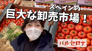 [日常] スペインの巨大な卸売市場に潜入！日本にない野菜や果物を探すぞ！