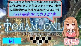 【トーラムオンライン】プレイ・操作できるかな？トーラムオンライン始めてみる！！#１💖✨※ネタバレ注意　※バ美肉地声です！