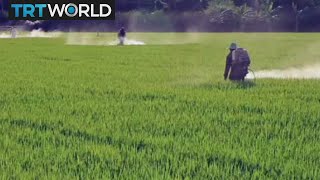 Roundtable: Are pesticides necessary for food production?