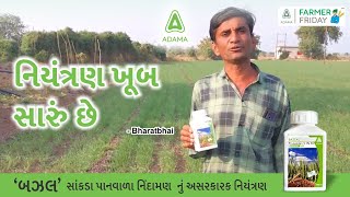 ADAMA's Bazzal | “નિયંત્રણ ખૂબ સારું છે,\