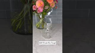 DIY Fruit Fly Trap! #hometips  #homehacks #homemade #howto #mustknow