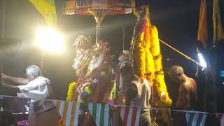 kalithertha aiyyanar kovil thanga kuthirai pavani