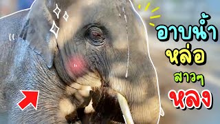 บัวบานอาบนำ้❗️หล่อให้สาวหลง😂elephant