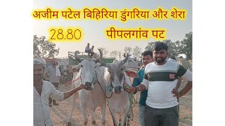 अजीम पटेल बिहिरिया डुंगरिया और शेरा पीपलगांव पट 28.80