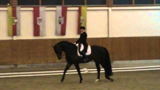 CDN-A* Weikersdorf, 09.04.2016, Solitaire Gold, St. Georg