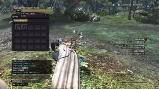 ［DDON］ストーリー闇を纏う娘～（前編）