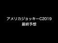 アメリカジョッキークラブカップ2019 最終予想