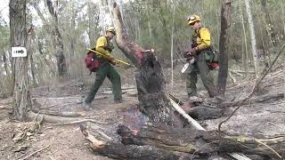 Wildfire \u0026 Drought Lookout! Video News Release HD