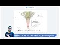 morphology of flowering plants class 11 ncert biology marathon series kumar sir beat the neet