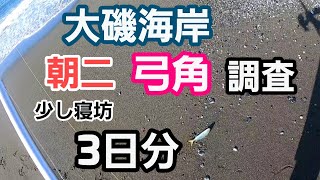 【大磯海岸】弓角調査3日分 少し寝坊の朝二サーフトローリング　2022年7月下旬～8月上旬　大潮、中潮