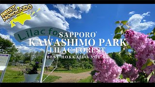 札幌 川下公園ライラックの森4K／北海道の絶景景色 【BESTHOKKAIDO_VOL.66】Superb view of Hokkaido/Sapporo Kawashimo Park Lilac