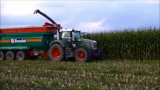 Trinciato Mais 2014 Fendt Katana 65,926 (310cv), 828,2x 514 e NH t7.200