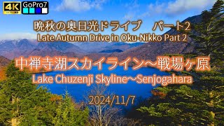 ✭晩秋の奥日光ドライブPART2【中禅寺湖スカイライン～戦場ヶ原】2024/11/7 Drive in Oku-Nikko Lake Chuzenji Skyline to Senjogahara