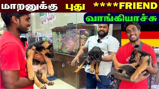 🔴 ஜெர்மன் Blood Line இல் வந்த German Shepherd வாங்கியாச்சு 😮 | Bought German Shepherd For Us