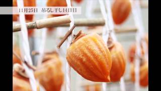 山梨の枯露柿づくり - 枯露柿ができるまで -japanese dried persimmon in Yamanashi