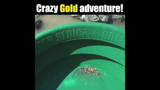 CRAZY! Gold Adventure!