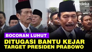 Luhut Ketua DEN Bocorkan Tugas Khusus dari Presiden Prabowo: Bantu Kejar Target!