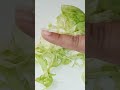 let s try viral hack cabbage cutting