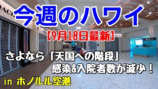 【今週のハワイ★９月１８日最新版】１週間のハワイ情報をまとめてお届け♪これを見ればハワイの今がわかる！！