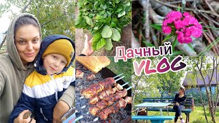 Дачный VLOG 🏡День Рождение на даче🎂Саженцы клубники🍓Перестановка🤗Трудовые будни дачников🤪