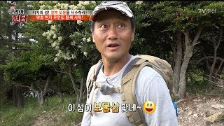 약초 천지! 이 곳이 보물섬?! [뉴 코리아 헌터] 56회 20170626